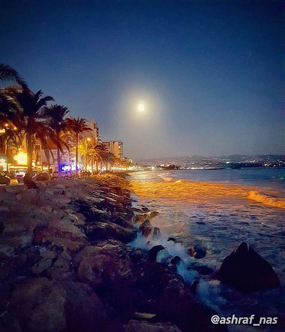 ذاكرٌ ليلَ هُنا قُلْتَ أين القمرُجاء حتّى بابِنا قمرٌ يعتذِرُ...... (Tyre, Lebanon)