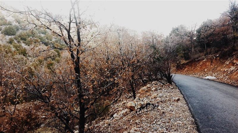 رجعت الشتوية ❄️ livelovelebanon  livelovebekaa  walkthroughsaghbine ... (Saghbîne, Béqaa, Lebanon)