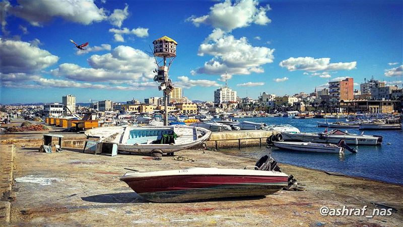 رجعوا البحارةوالريح مربوطة عالياطر...والبحر مزيح تزييحوقلبي الناطر ناطر. (Tyre Fishermen Port.)