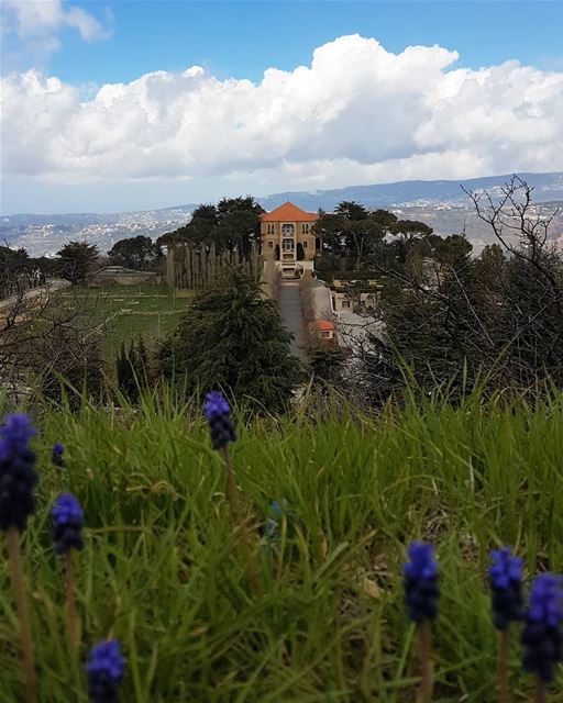 ردني إلى بلادي مع نسائم الغوادي🎵🎵  ig_lebanon  insta_lebanon ...