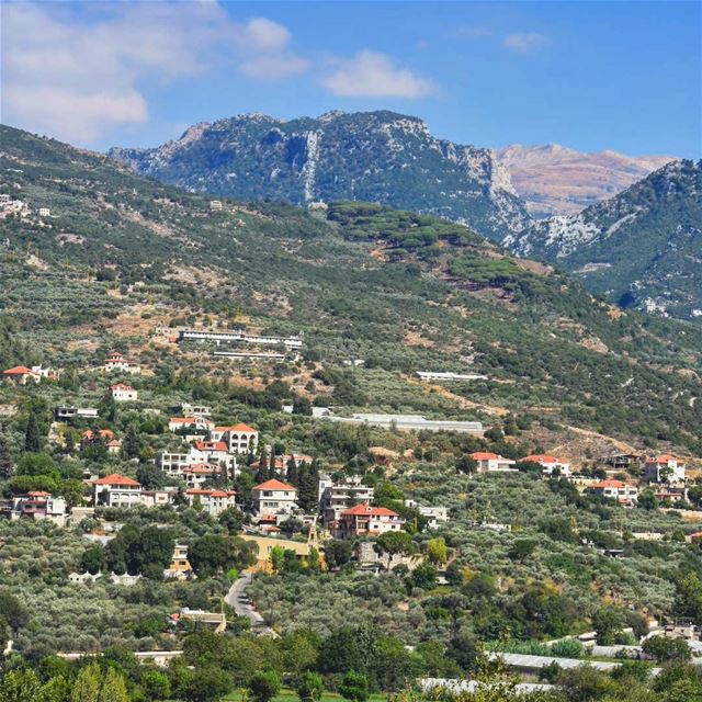 زرعنا تلالك يا بلادي زرعناها ورود.. north_lebanon  livelovelebanon ... (Batroun District)