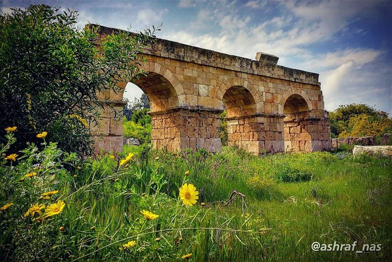 زمانك بستان وعصرك أخضروذكراك عصفور من القلب ينقر...ملأنا لك الأقداح يا من (Roman ruins in Tyre)