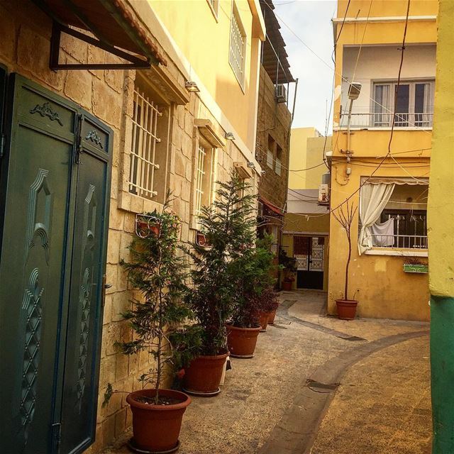 "زواريب الحي"..  صباحو 🙋🏻‍♂️ morning  friday  long  weekend ... (Tyre, Lebanon)