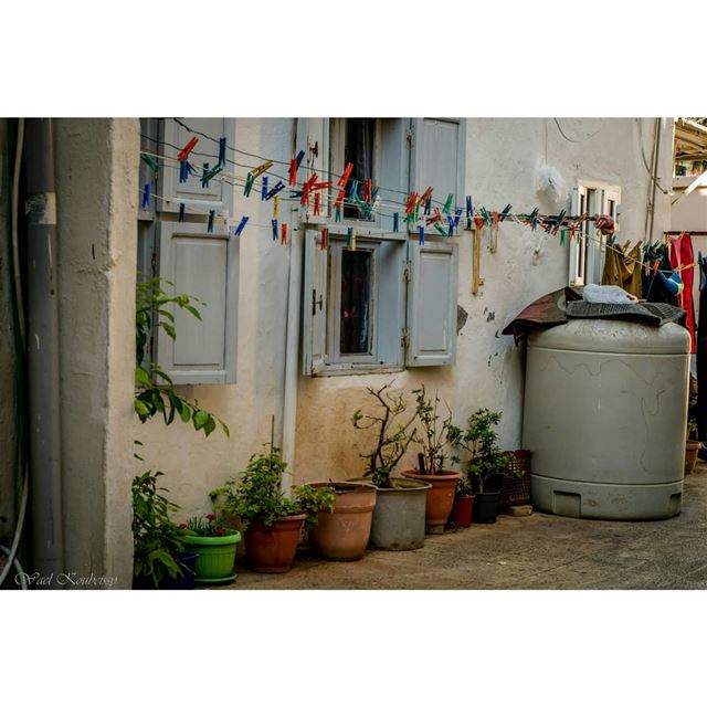 زواريب صور  urban  alley  window  laundry  urbex  street  tyre  plants ... (Tyre, Lebanon)