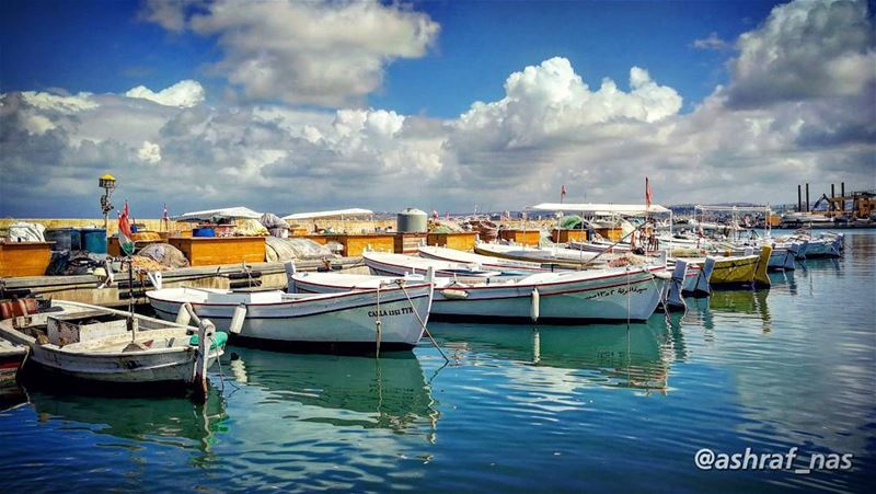 سافر بليلة ريحودار الدفة جنوبية...حنت عليه الريحوصل على المينا الغجرية.. (Tyre Fishermen Port.)