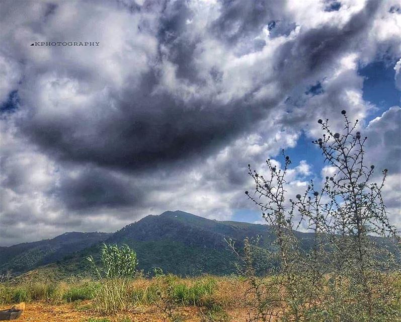 ستأتي الفراشاتُ عما قريب..و سيتألفُ ربيعٌ صغيرٌ  في جسدينا ... 🦋🦋 *... (Lebanon)