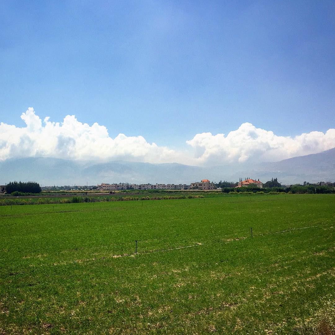 سدح..مدح.. livelovebekaa 💚————————————————— nature  greennature  sky ... (Beqaa Governorate)