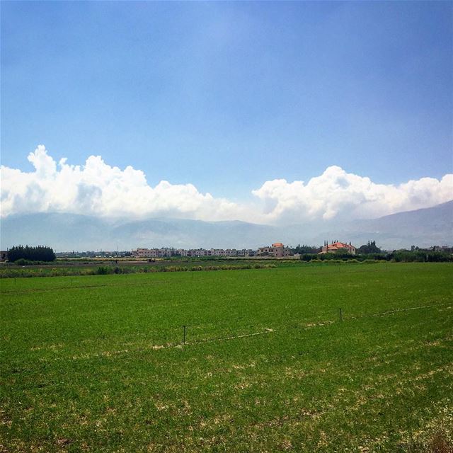 سدح..مدح.. livelovebekaa 💚————————————————— nature  greennature  sky ... (Beqaa Governorate)