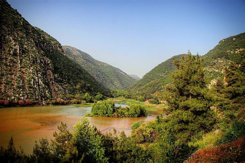 سموها عيون السمك وقالو اية من الجمالبعرف ما شافو عيونك ما بلومهن لو شو ما...