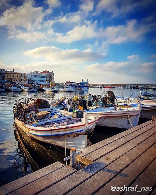 سميتك الجنوبسميتك النوارس البيضاء والزوارقسميتك الأطفالَ يلعبونَ بالزنابق (Tyre Fishermen Port.)