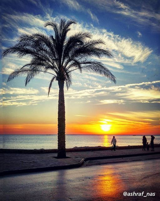 سميتكَ الجنوب يا لابساً عباءةَ الحسين وشمسَ كربلاء يا شجرَ الوردِ الذي يح (Tyre, Lebanon)