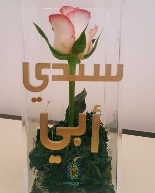 سندي أبي  PlexiGlass single rose box for  fathersday for 20$ only!Wish...