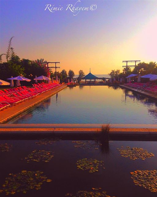 ~سوى لحظات....~ (Eddésands Hotel & Wellness Resort)