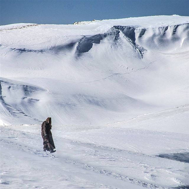 سويسرا الشرق ... Lebanon  faraya  super_lebanon  ig_lebanon ... (Faraya Mzaar)