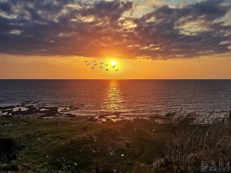 شايف شو بيحكو عينيّي..؟______________________________ lebanon ... (Amchitt, Mont-Liban, Lebanon)