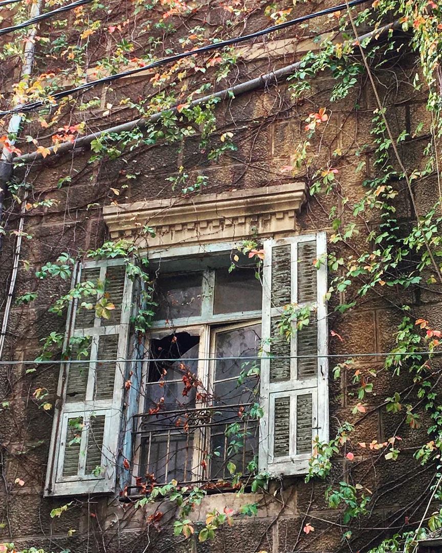 شبابيك بيروت [Beirut Windows].... proudlylebanese  beautifullebanon ... (Beirut, Lebanon)