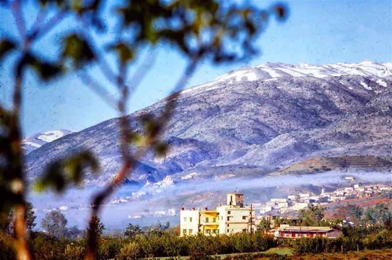  شتورة ١٩٦٠ ، Chtaura 1960 . Livelovelebanon Credits The Lebanese Heritage ©