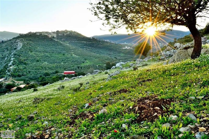 شروق اليوم من  حومين_الفوقا  sunrise  sunriselebanon ...