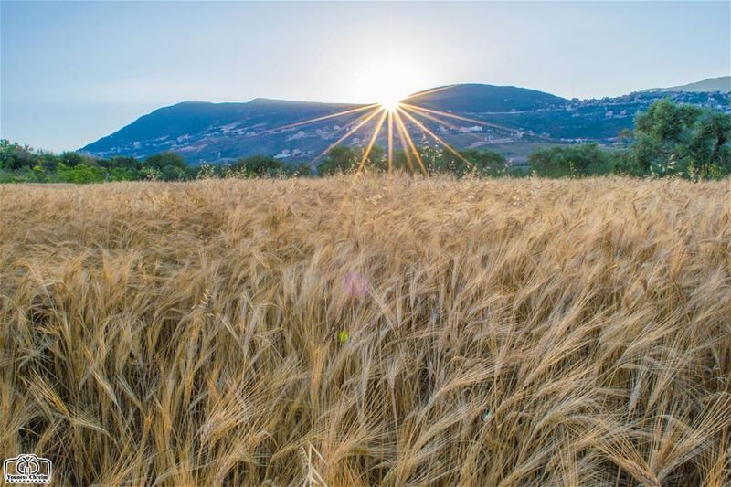 شروق اليوم من  حومين_الفوقا  sunrise  sunriselebanon ...