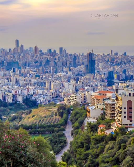 شريانٌ حَيَويٌّ ثانويّ.________________________________ lebanon ... (Beirut, Lebanon)