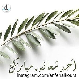 شعنينة مباركة🌿Happy Palm Sunday 🌿 palmsunday  sundaypalm ... (Lebanon)