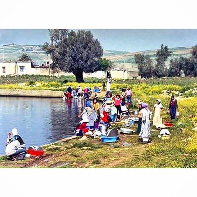 شقرا ، جنوب لبنان عام ١٩٨٢ ،