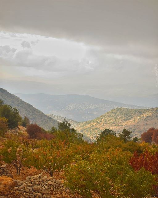شمس الشتاء تشبه المحبة،  لا تُرى ولكنها تُضيئ الدنيا 👌  lebanon ... (شبعا)