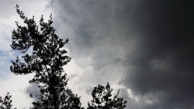 شو بيشبهك تشرين ... autumn  clouds  tree  nature  rain  sky  lebanon ...