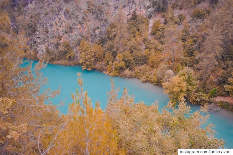 شو.. وين رايحين اليوم؟ ... (Chouwen)