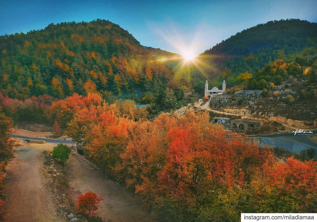 "شوف" الألوان..(نهر الحمام - الشوف) ..Autumn has come.. 🍂🍁 autumn🍂 ... (نهر الحمام)