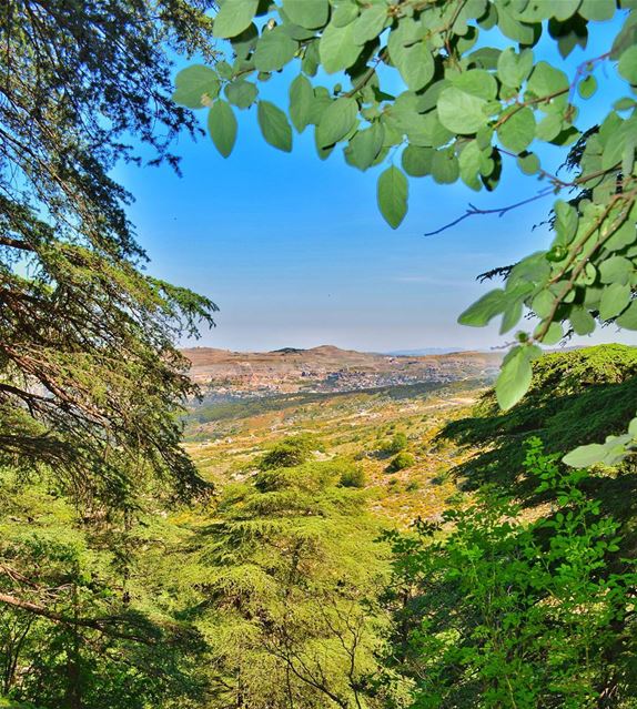 شوف لبنان  lebanon  beirut  HashTags  beach  beautiful  beauty  blue ... (Shouf Biosphere Reserve)
