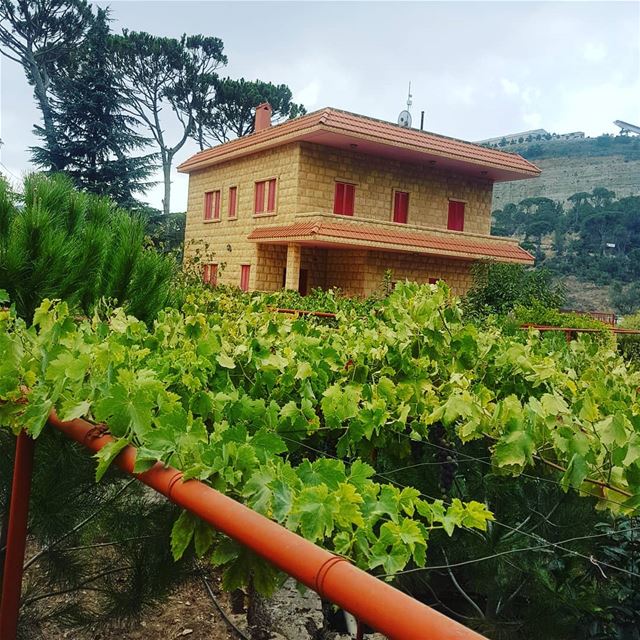 شي بيت... أبعد بيت ig_respect  ig_lebanon  instaamici  livelovebarouk ... (Nab` As Safa, Mont-Liban, Lebanon)