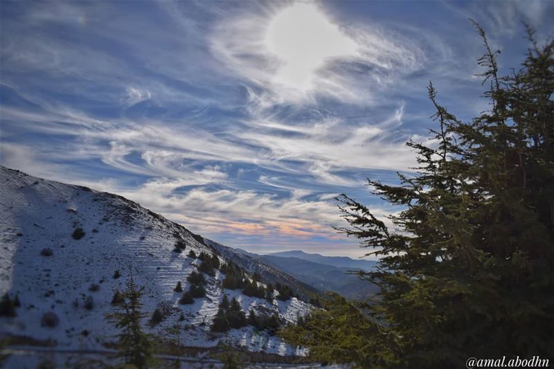 شيئان لا تستطيع التحديق بهما،، الشمس والموت 👌  lebanon  photography ... (غابه ارز الباروك)