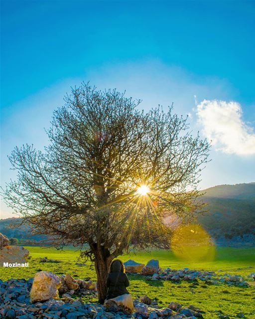 صار لي شي مية سنة عم ألف عناوين مش معروفة لمين و وديلن أخباربكرا لا بد الس (Kfarhouna - Jezzine)