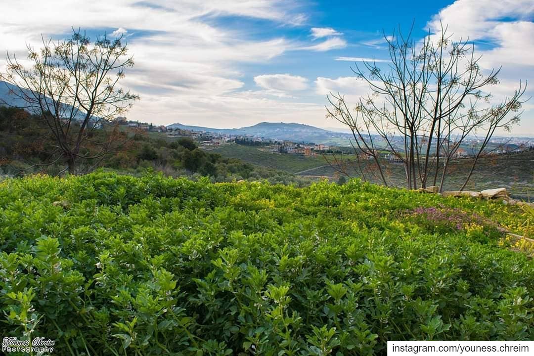 صباح الخير 🌱⛅ nature  lebanon  southlebanon  houminealfawka  sky ...