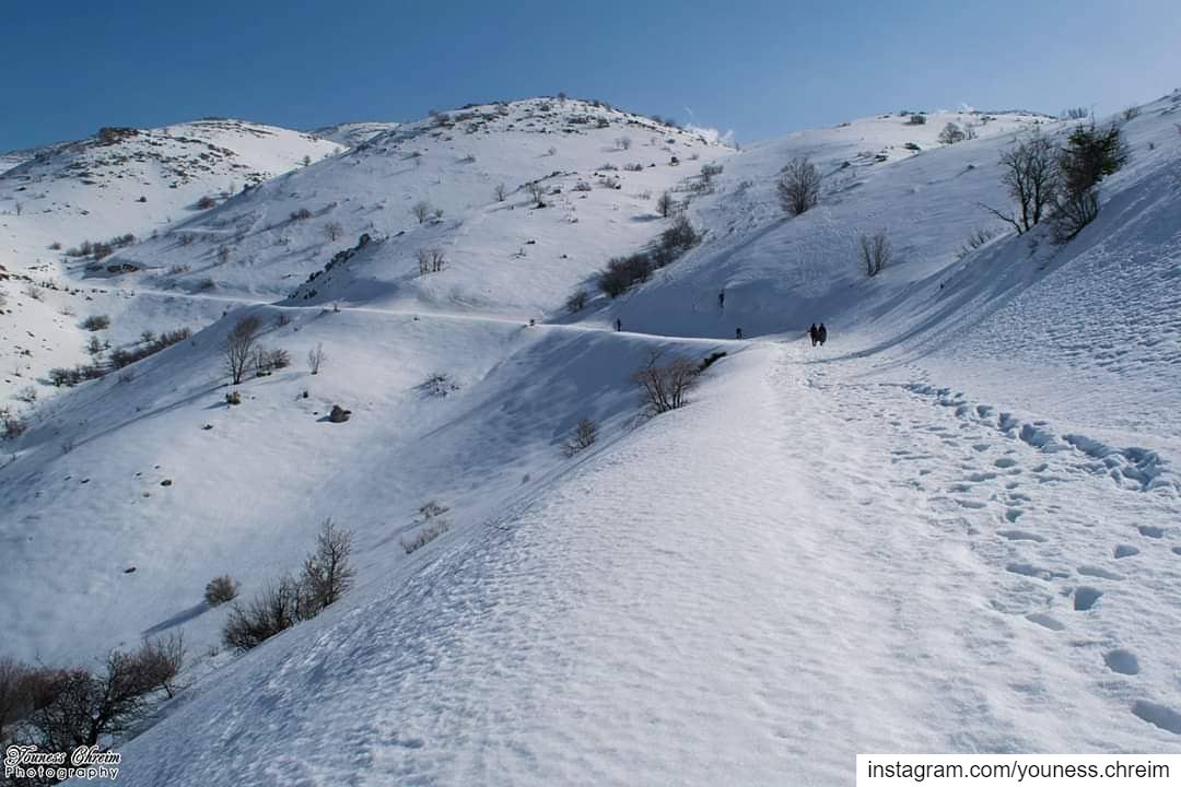 صباح الخير ❄🌞 snow  winter  hiking  sun  mount  mountain  lebanon ...