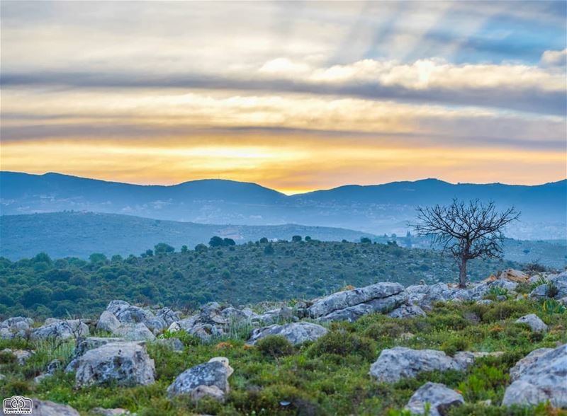 صباح الخير  sun  sunrise  landscape  nature  lebanon  southlebanon ... (Rumin, Al Janub, Lebanon)