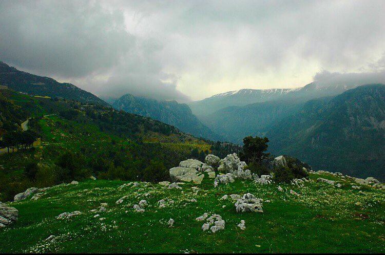   صباح الخير  اصبحنا_و_اصبح_الملك_لله .. 🌷  photo  photooftheday  lebanon... (`Almat, Mont-Liban, Lebanon)