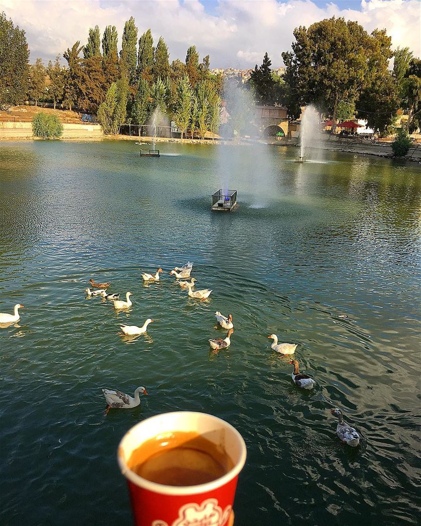 صباح الخير للذين يحبون القهوة مثلي و مثلك مثلا..... coffee ... (Marjayoûn, Al Janub, Lebanon)