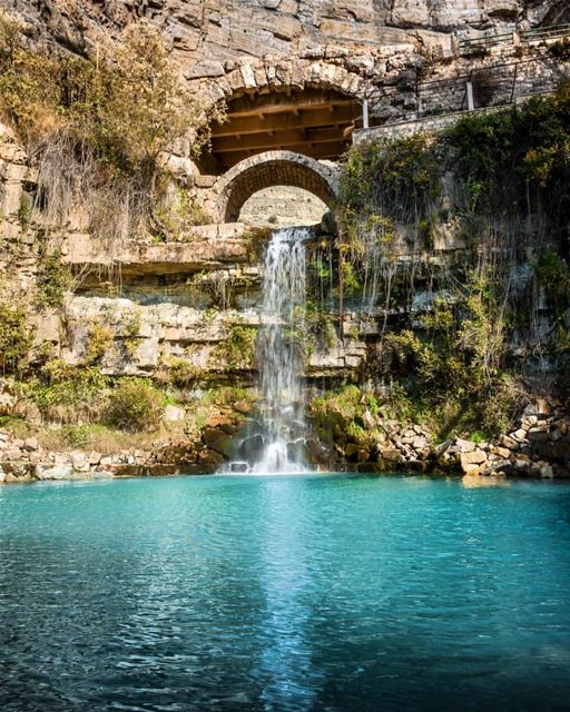 صباح الخير من أفقا - كسروان・・・Freshness from the heart of the mountain 🗻 (Afka, Mont-Liban, Lebanon)