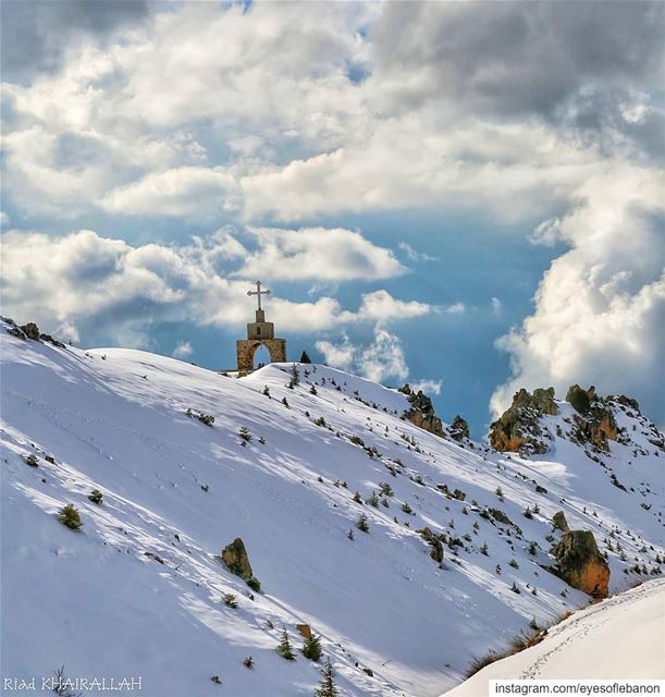 صباح الخير من الارز Credits to @riadkhairallah・・・ lebanon  lebanontimes... (The Cedars of Lebanon)