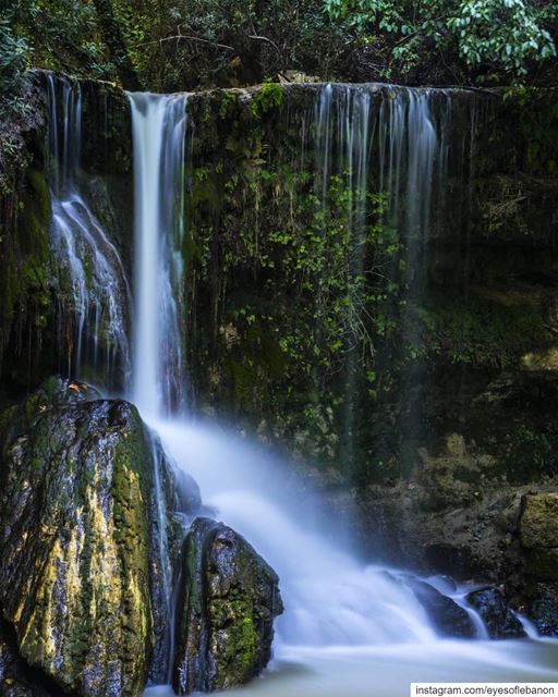 صباح الخير من الشوف Credits to @ali_tawil88・・・Art of Nature 🏞----- (Chouf)