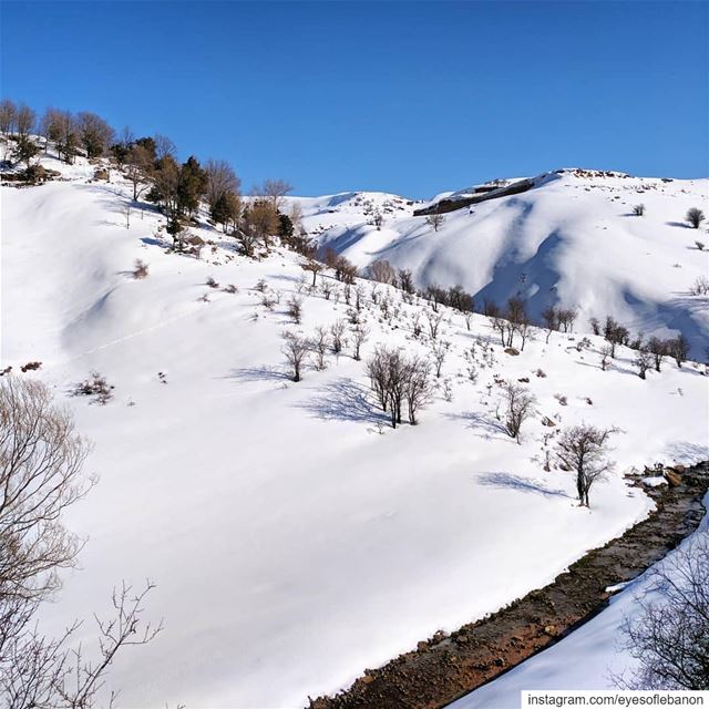 صباح الخير من اللقلوق 😍Credits to @chadiseye・・・"a morning like that".... (El Laklouk, Mont-Liban, Lebanon)