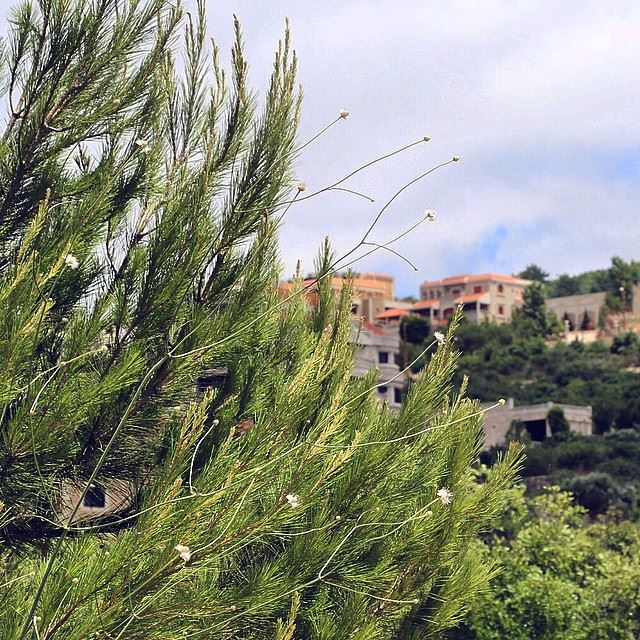 صباح الخير من جنوب لبنان. 🇱🇧 lebanon  lebanon_hdr  lebanonlove ...