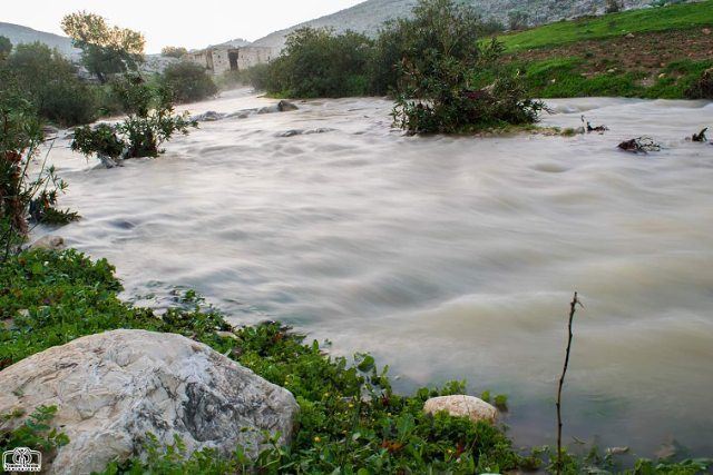 صباح الخير من حومين الفوقا  morning  nature  river  lebanon  southlebanon...