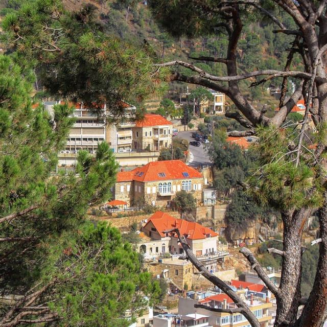 صباح الخير من ضهور الشوير 😍Photo taken by @micheline.fares  lebanon ... (Dhour choueir)