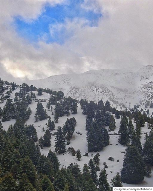 صباح الخير من عكار Credits to @chady.el.khoury・・・Window to Heaven ☁️ ☀️... (Akkar)