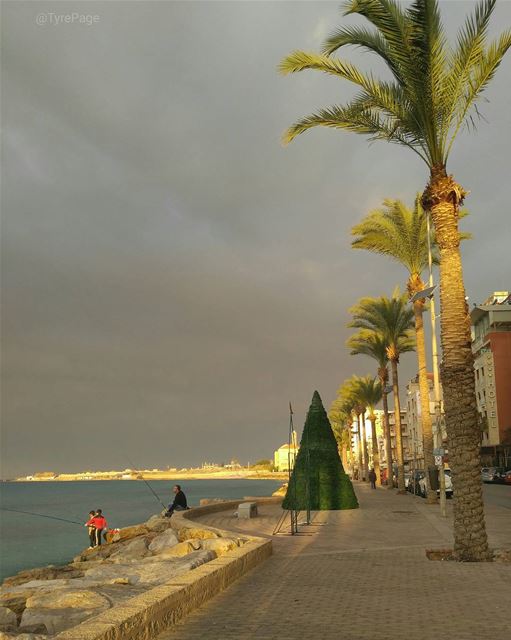 صباح الخير من  مدينة_صور | جنوب  لبنان ❤✌🌴By @hishamnajdi  TyrePage ... (Tyre, Lebanon)