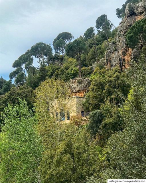 صباح الخير من وادي قنوبينCredits to  @tarekhawwash・・・هنا ترقد القديسة ما (Ouâdi Qannoûbîne, Liban-Nord, Lebanon)