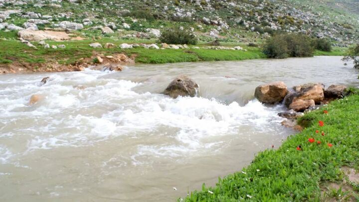 صباح الخير يا وطني 🇱🇧 nature  river  lebanon  southlebanon ...